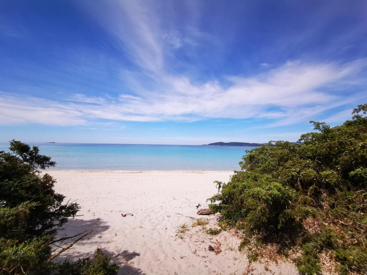 Royal Apartment Sea View Αλγκέρο Εξωτερικό φωτογραφία