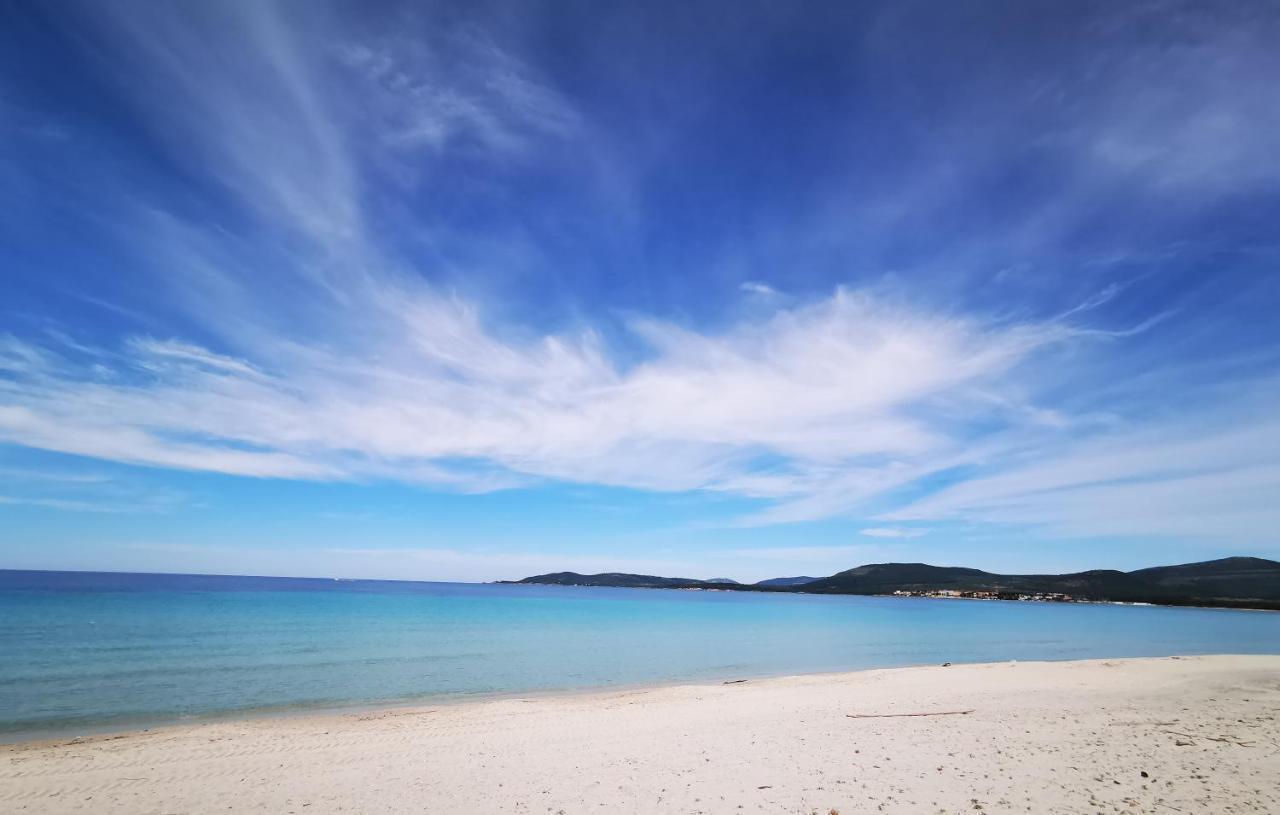 Royal Apartment Sea View Αλγκέρο Εξωτερικό φωτογραφία